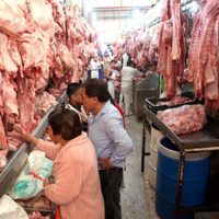 Economía mexicana se desploma en el tercer trimestre de 2025: Inegi