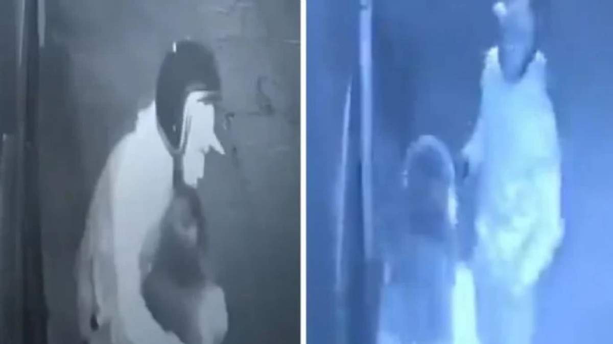 Video donde un sujeto asalta y abusa de una joven en SLP