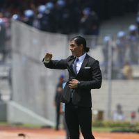 Los Pumas ponen fin a la 'era Palencia”