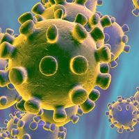 ¡Gran iniciativa! Neuquén se unirá a la investigación para conocer las cepas del virus