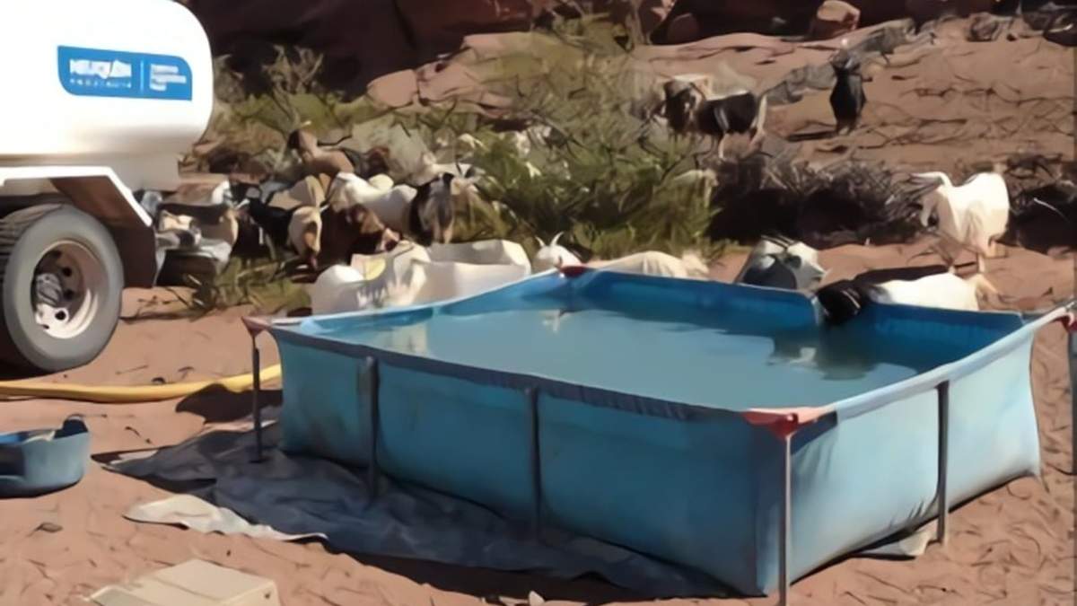 Almacenamiento de agua en una pileta de recreación para afrontar la sequía. Fuente: (Twitter)