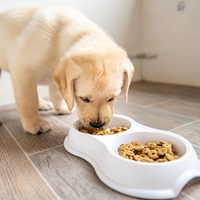 Snacks de mondongo para tu perro en dos pasos: sin gastar de más premiá a tu mascota