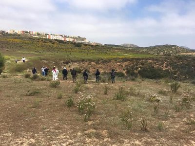 Localizan seis osamentas tras operativo en Tijuana