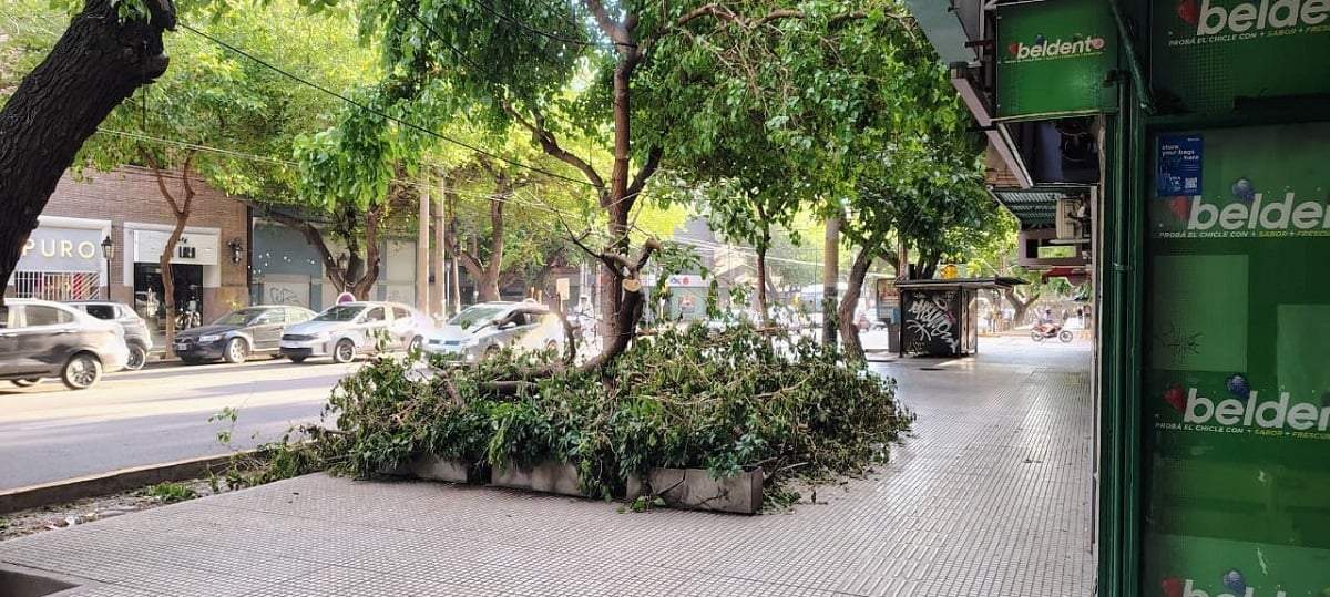 En plena vereda de la calle Colón.