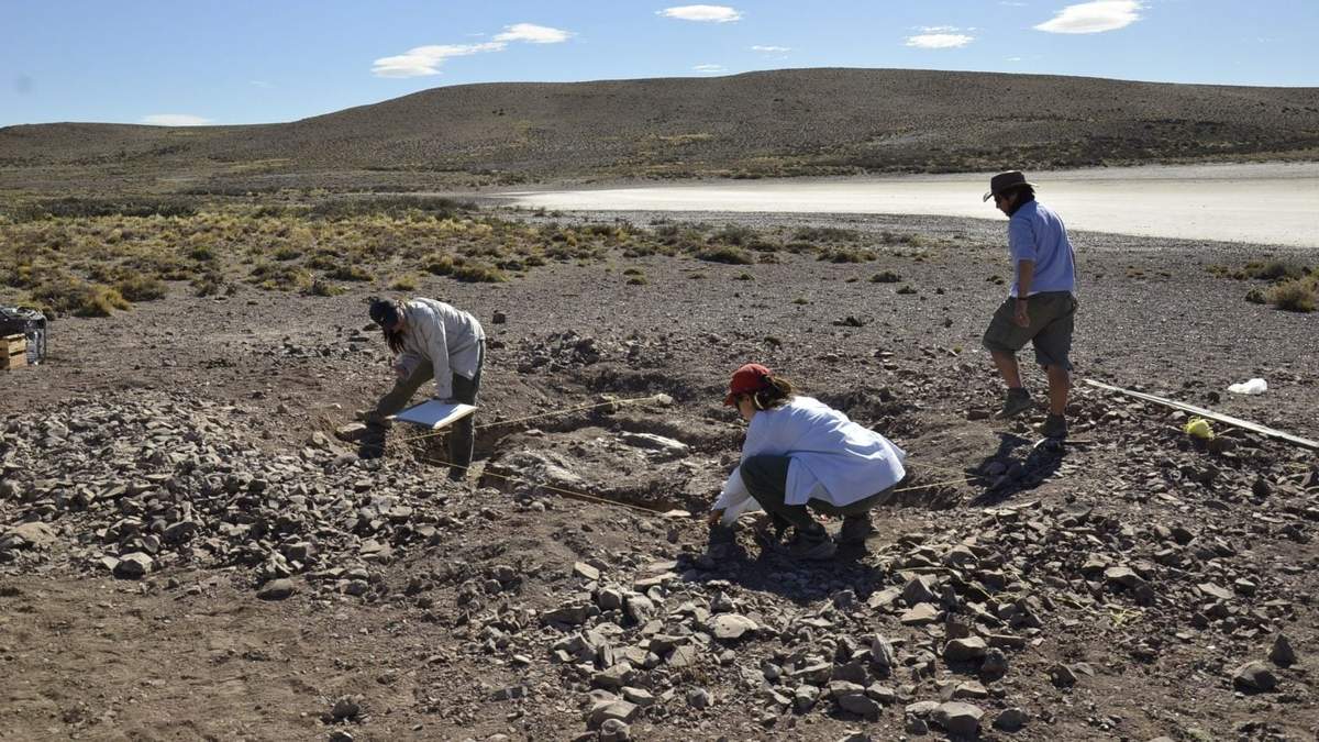 En la Patagonia, se encontraron huevos y fósiles de dinosaurios. Fuente: (Twitter)