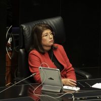 Senadora de Morena admite que ordenó sacrificar a 10 mil perros en Tecámac (Video)