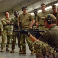 El Senado aprueba el ingreso de militares de Estados Unidos a México