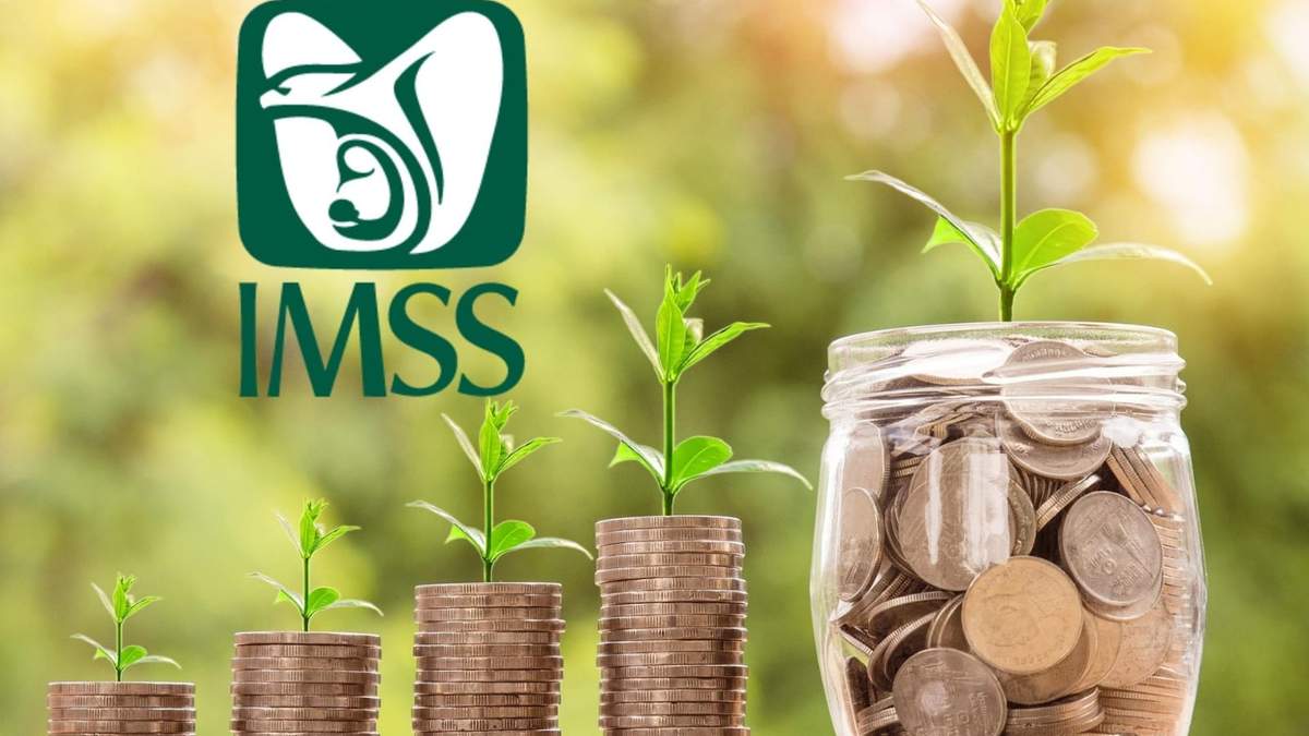 El retiro anticipado del IMSS se puede solicitar antes de los 60 años si se cumple con semanas de cotización y saldo suficiente en la cuenta individual.