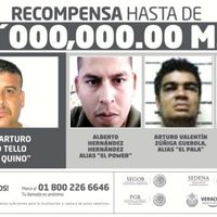 Marinos acribillan a 'El Quino”, jefe de plaza del CJNG