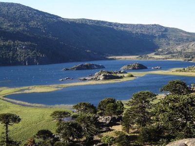 Villa Pehuenia: en busca de estrategias para afrontar la temporada de verano
