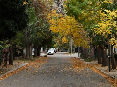 Clima en Neuquén: Llega el aire frío y bajan las temperaturas en toda la región