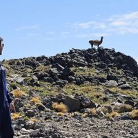 Neuquén realizó más de 800 inspecciones de seguridad ambiental en todo el territorio en 2025