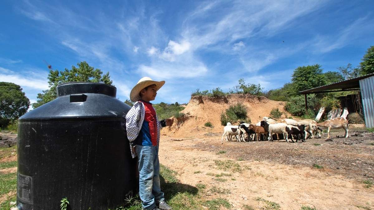 Un menor campesino en la mixteca alta de Oaxaca
