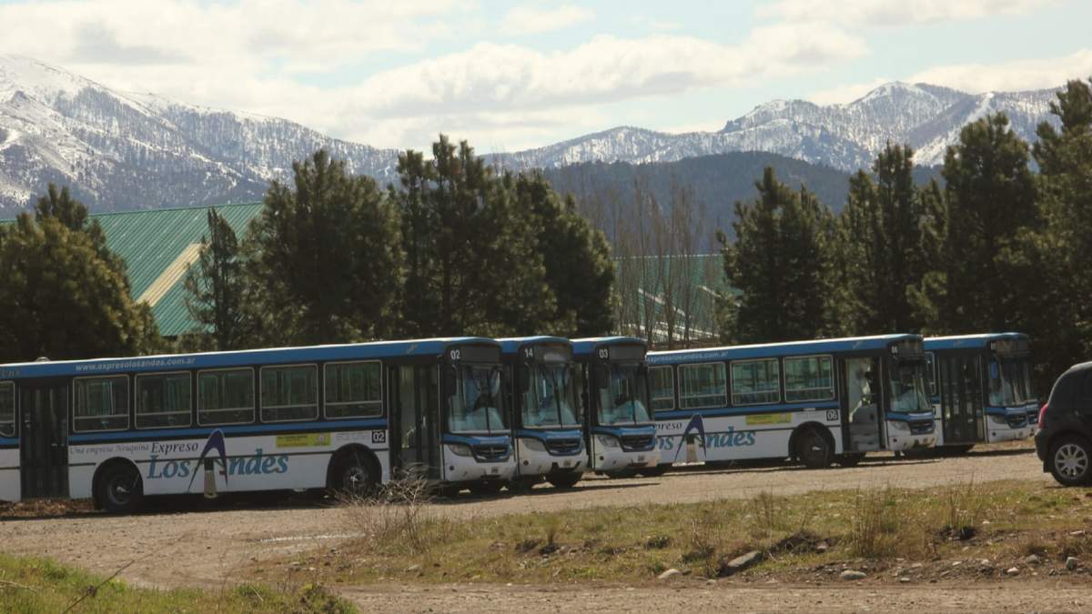 Unidades de Expreso los Andes. Fuente: (Twitter)