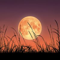 Esperá la llegada de la próxima Luna Llena: el poderoso ritual que atraerá abundancia y fortuna a tu vida
