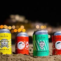 No tires las latas de cerveza o gaseosa y utilizalas en esta fabulosa idea para darle vida a tus plantas y tu living