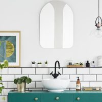 Cuida tu salud, es resistente y fácil de mantener: la planta que tenés que poner en el baño sí o sí