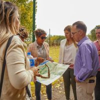 Solicitan al Municipio detalles sobre proyecto para habilitar el tránsito de autos en Paseo Costero