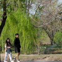 Clima en Neuquén: el jueves vendrá más cálido pero con vientos moderados