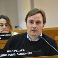 La interna del MPN apuró a los demás partidos, de cara a las próximas elecciones