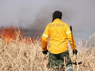 Tras los incendios, con un tuitazo nacional buscan impulsar una ley sobre humedales