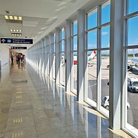 INM se declara “imposibilitado” para resolver caso Zalewski