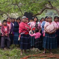 El Frayba denuncia que no hay seguridad para 12 comunidades tsotsiles de Aldama, Chiapas