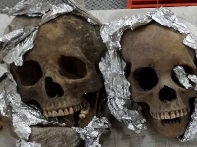 Interceptan paquete con cuatro cráneos humanos que serían enviados a EU