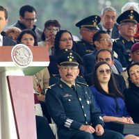 Peña señala 'vacío legal” sobre Fuerzas Armadas