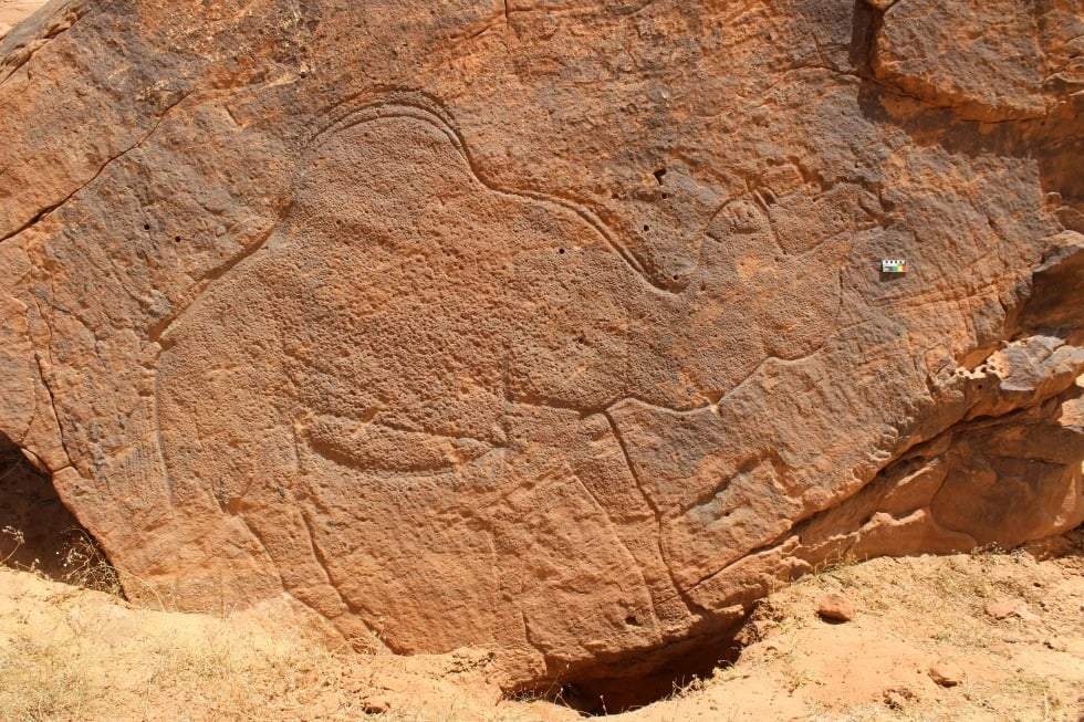 Científicos encuentran grabados rupestres de animales a tamaño natural en desierto de Arabia Saudita