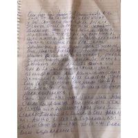 “¿Ustedes creen que iba huyendo?” Así relató "El Bronco", en una carta, cómo fue detenido