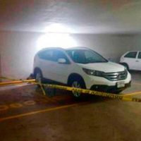 El caso del coronel suicida