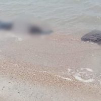 Mueren ocho personas en un naufragio frente a las costas de Oaxaca