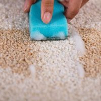 Así de fácil podés limpiar tus alfombras con tela de peluche y dejarlas como recién estrenadas, libres de impurezas y polvo