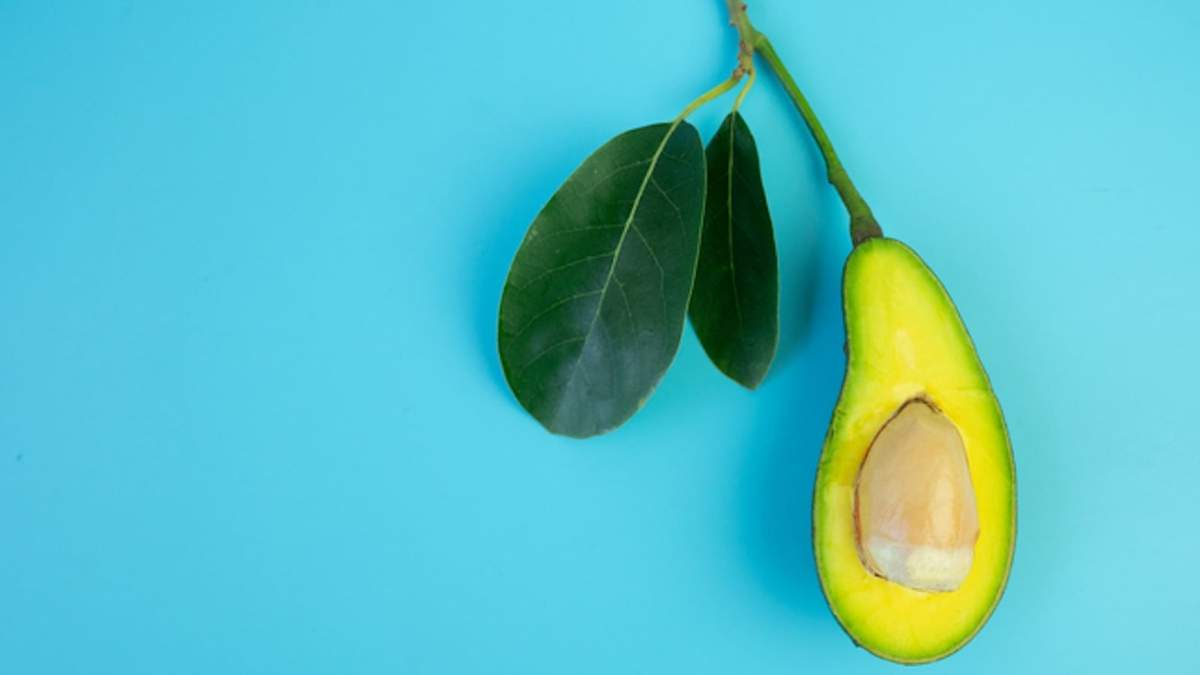 Palta. Fuente: (Instagram)