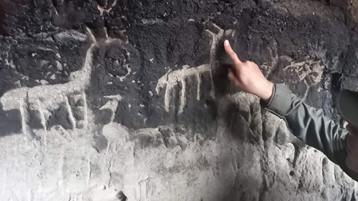 Expresiones de arte rupestre. Fuente: (Twitter)
