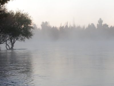Clima en Neuquén: el lunes será gris en toda la provincia y empezará con niebla en Neuquén capital