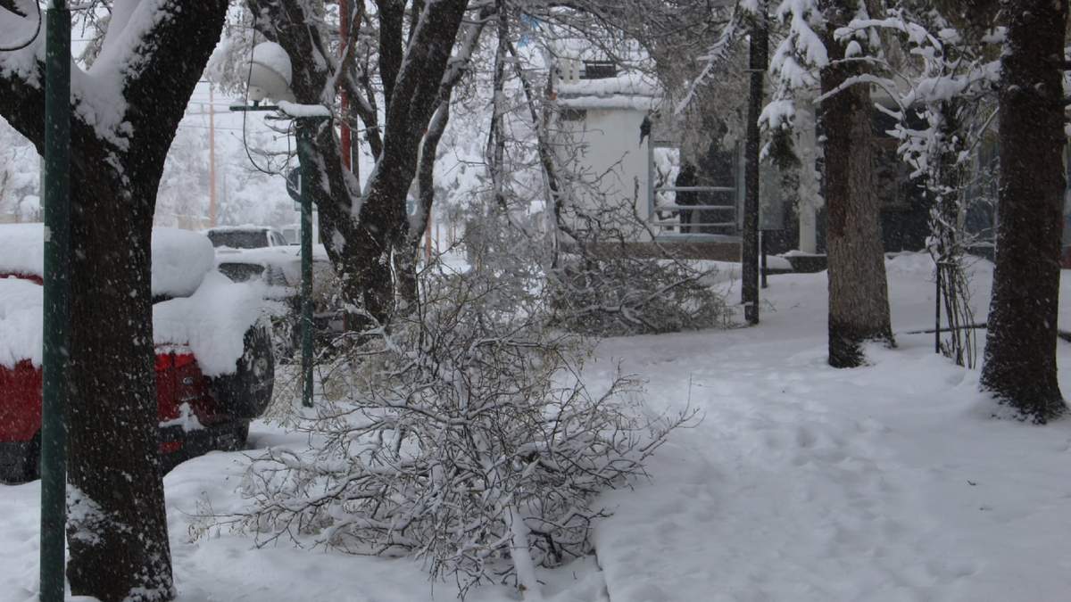 El peso de la nieve causó estragos. Fuente: (Daniel Signorile)