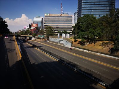Las nuevas formas de solidaridad