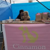 Un emprendimiento de repostería natural para perros y gatos