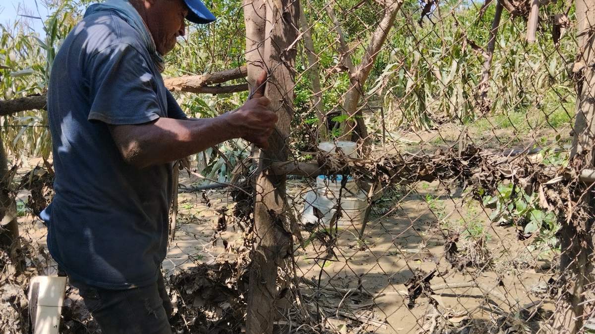 Núcleo agrario de Cacahuatepec integrado por 50 mil habitantes de 47 comunidades de Acapulco