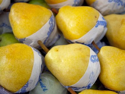 Productores de fruta del Alto Valle piden un dólar diferencial para la actividad