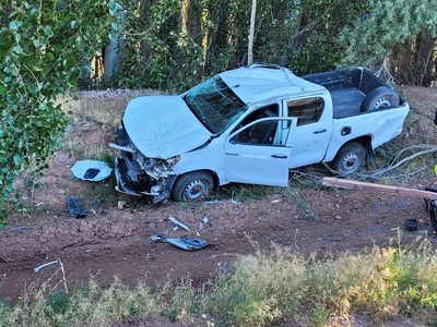 Choque y fuga en la ruta provincial 7: una camioneta terminó contra una alameda