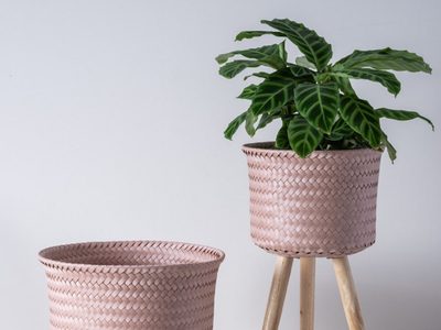 No tires los baldes vacíos y hacé estas increíbles macetas nórdicas, más lindas que las compradas