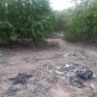 "Aguerrida" búsqueda en Cajeme: 20 fosas clandestinas con una treintena de cadáveres