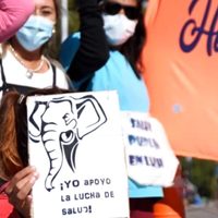 Trabajadores "elefantes" de Salud de Junín de los Andes denunciaron persecución contra un enfermero