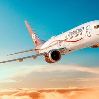 Aeroméxico baja del aire al Boeing 737 MAX tras accidente en Etiopía