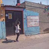 Laberinto de empresas de papel Bajo sospecha, contratos de la 4T