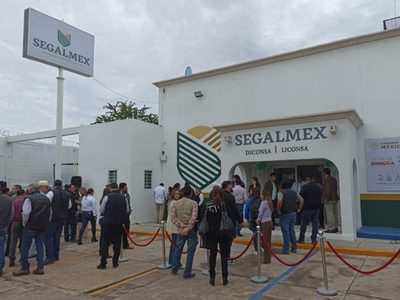 Capturan en Argentina a Manuel Lazcano Jiménez, exdirector comercial de Segalmex