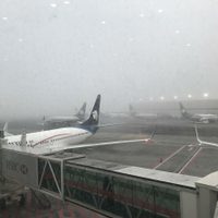 Banco de niebla afecta operaciones en el AICM (Video)